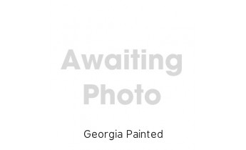 Georgia Painted