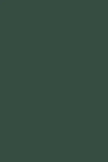 Zurfiz Supermatt Kombu Green door